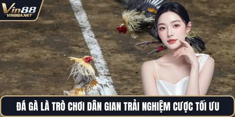 Đá gà là trò chơi dân gian trải nghiệm cược tối ưu